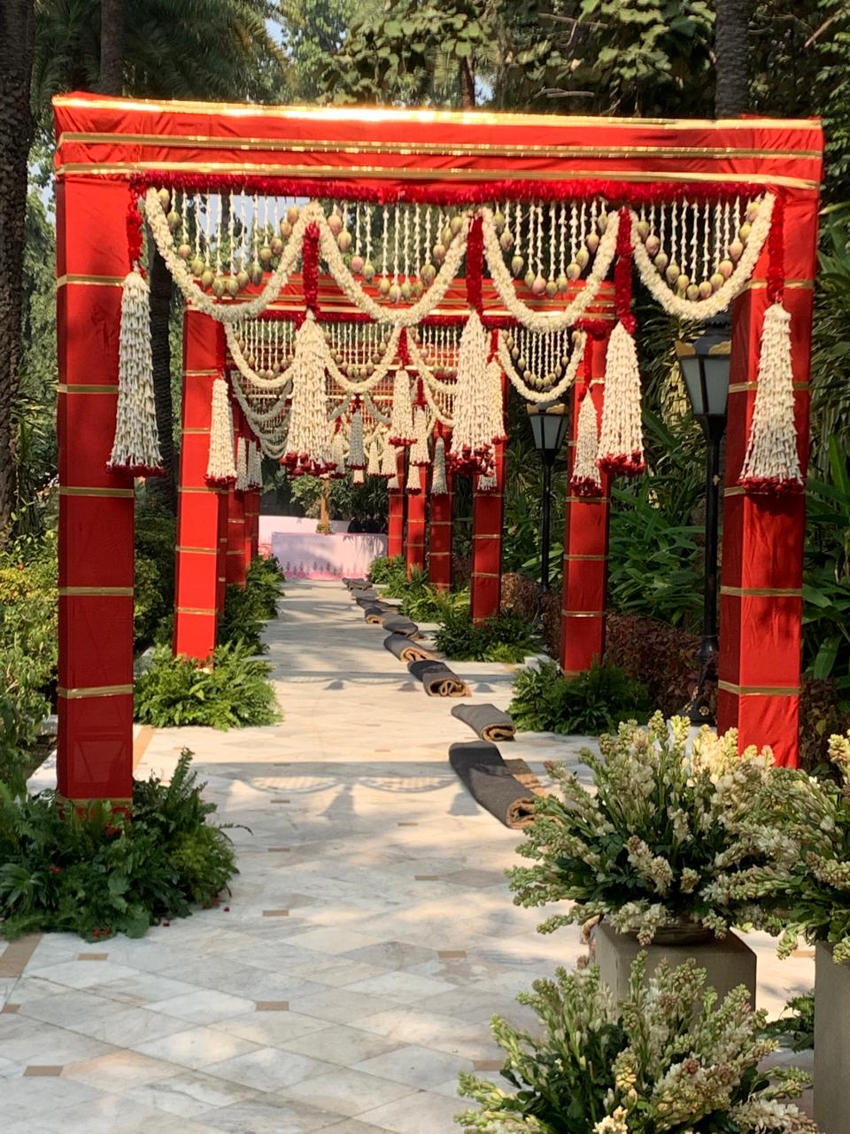 WhatsApp Image 2026-02-19 at 12.41.36 PM