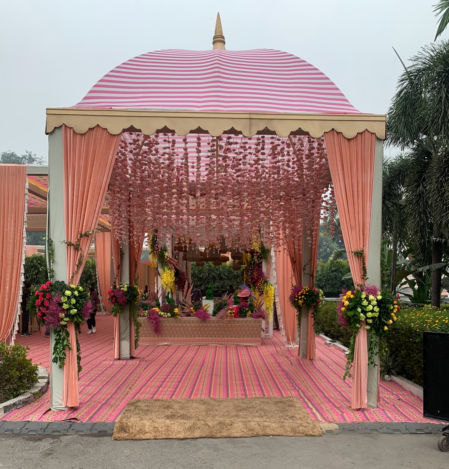 WhatsApp Image 2026-02-19 at 12.41.38 PM